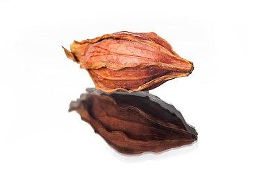 Steam周末特惠：魂系动作冒险游戏《死亡之门》史低